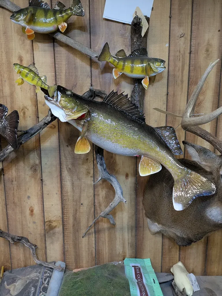 mounted pike