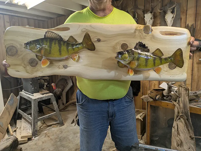 mounted perch